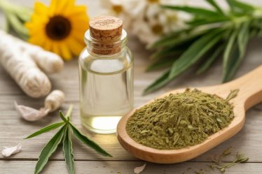 Chanvre et douleurs articulaires : une alternative naturelle pour soulager l’arthrose et les inflammations chroniques ?