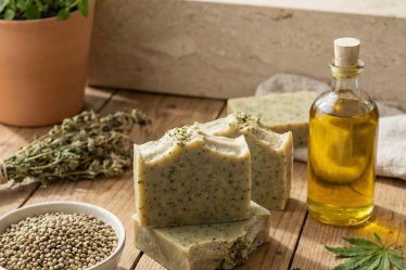 Savon chanvre : bienfaits, fabrication et usages pour une peau saine et équilibrée
