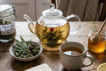 Cbd a infuser : conseils, dosages et précautions pour des infusions bien-être au chanvre