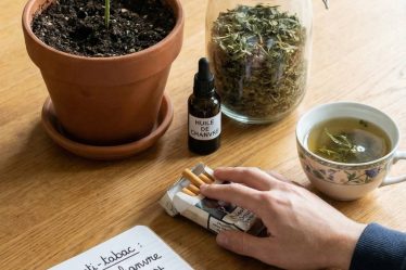 Plante anti tabac : comment le chanvre peut-il accompagner l’arrêt de la cigarette