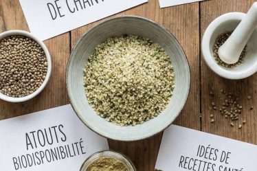 Graines de chanvre protéines : atouts, biodisponibilité et idées de recettes santé
