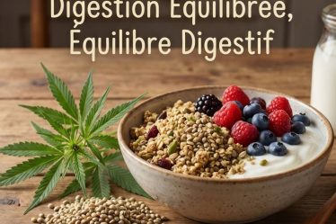 Chanvre et fibres alimentaires : quels effets sur la satiété, le transit et l’équilibre digestif ?